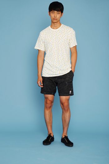 Camiseta-Peaks-1