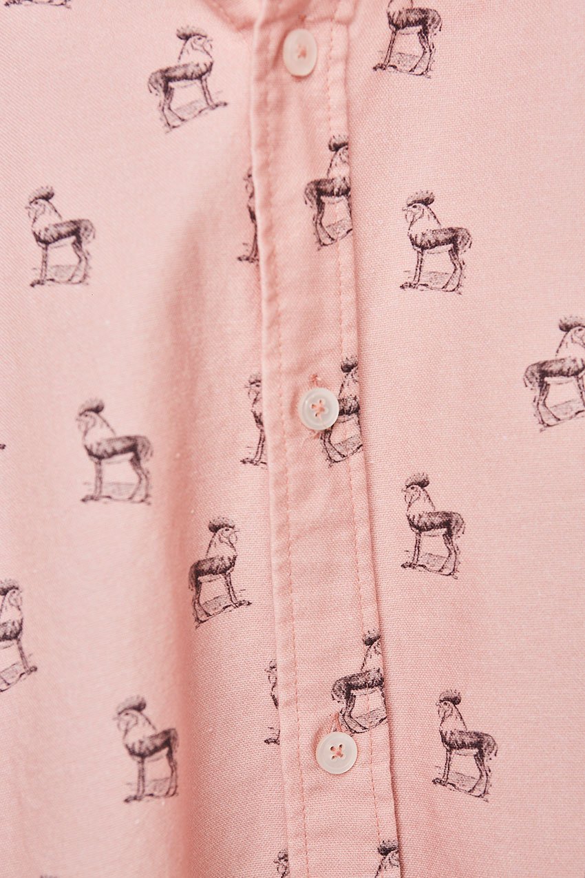 Camisa Beasts Tiwel Himalayan Salt 05 Camisa Beasts Tiwel Himalayan Salt 05