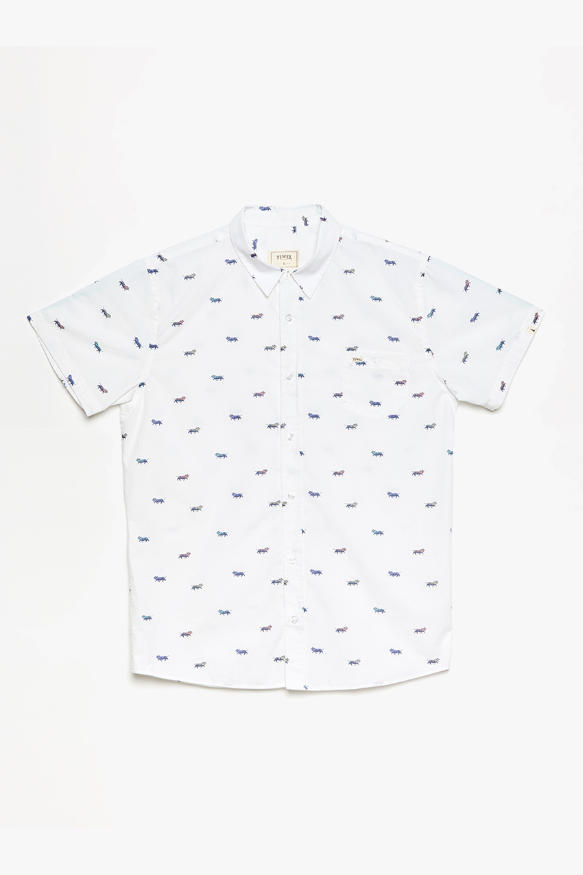 Camisa-Belo-01 Camisa-Belo-01