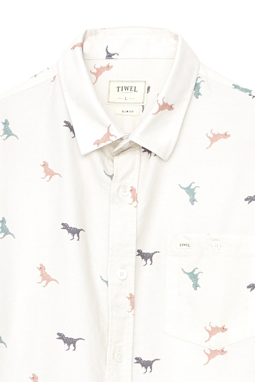 Camisa Docus Tiwel Cashew 06 Camisa Docus Tiwel Cashew 06