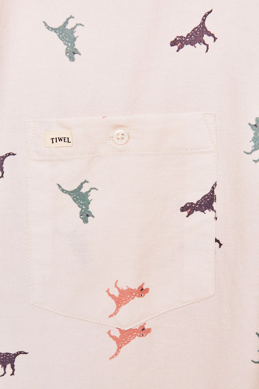 Camisa Docus Tiwel Cashew 09 Camisa Docus Tiwel Cashew 09