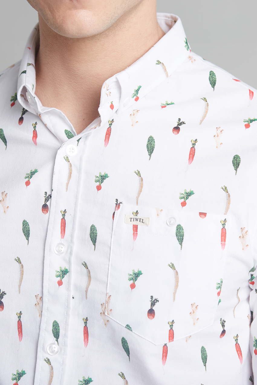Camisa-Ginger-03 Camisa Ginger 03