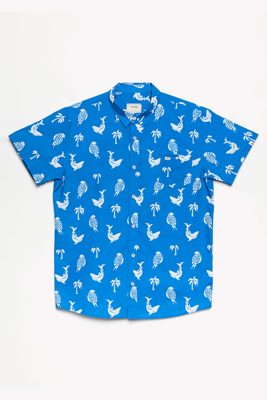 Camisa-Indico-01 Camisa-Indico-01