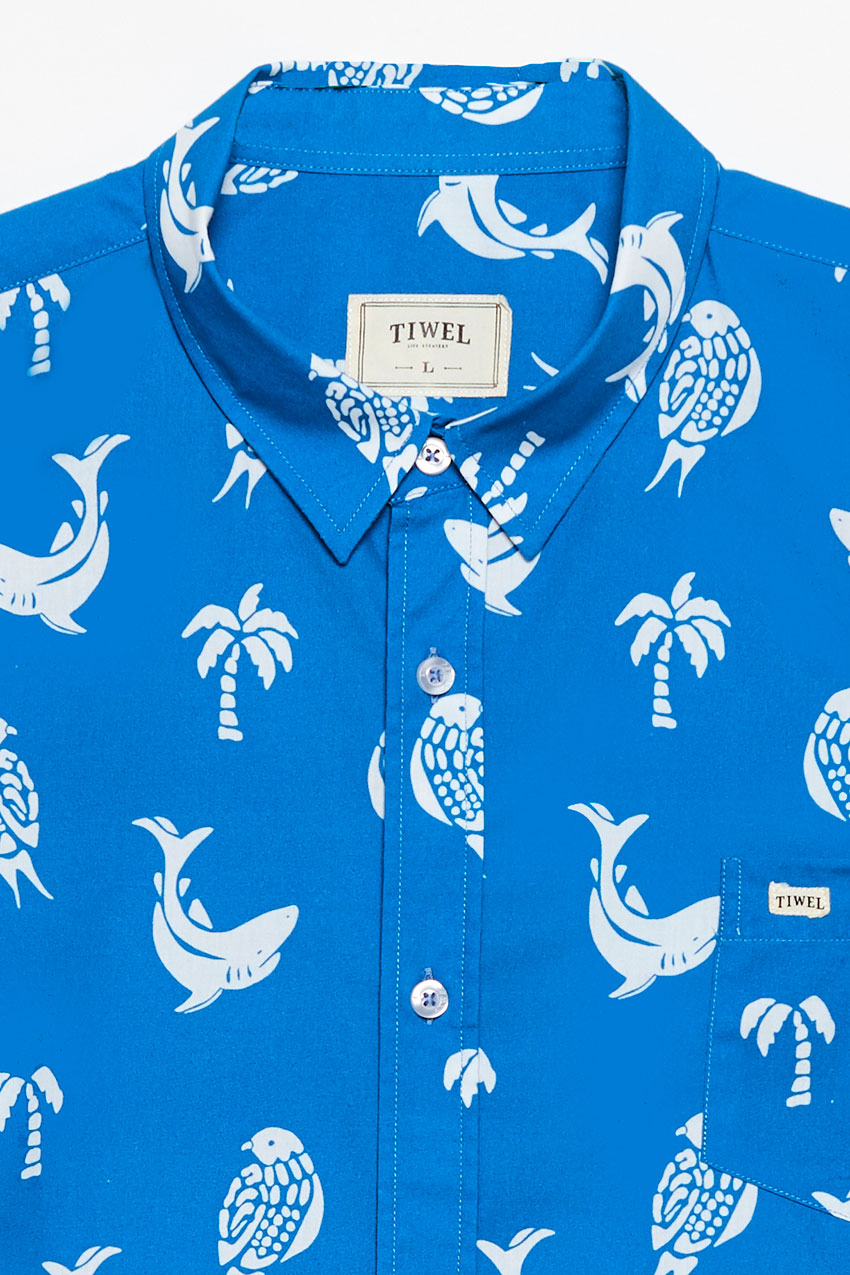 Camisa-Indico-04 Camisa-Indico-04