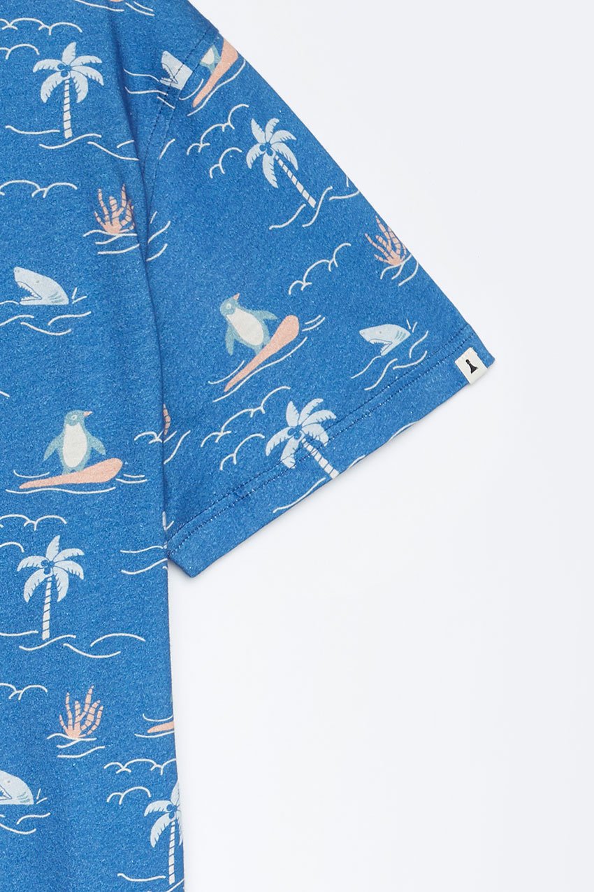 Camiseta Big Island Tiwel deep water 02 Camiseta Big Island Tiwel deep water 02