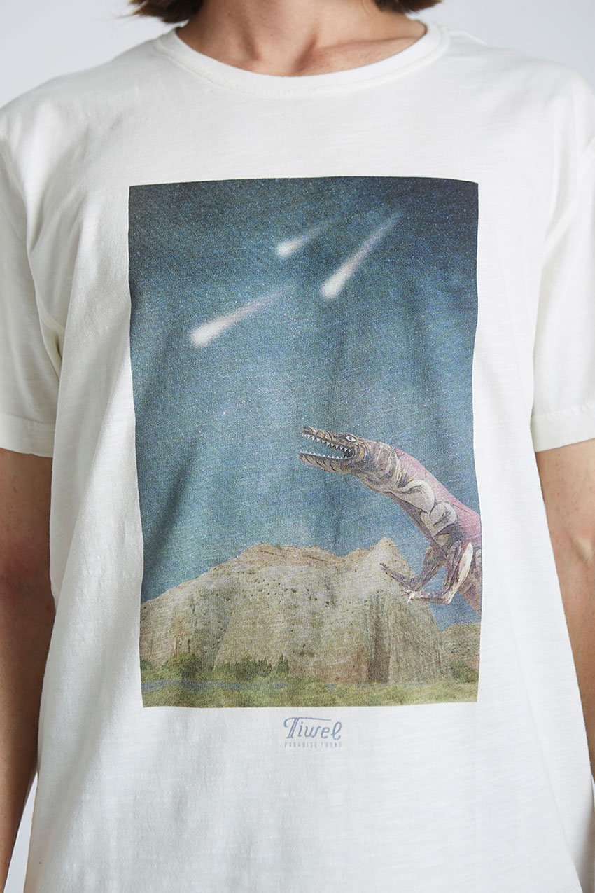 Camiseta-Meteorite-Tiwel-Snow-White-03 Camiseta-Meteorite-Tiwel-Snow-White-03