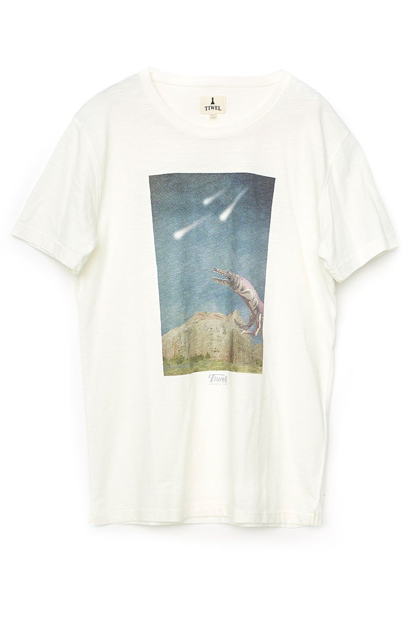 Camiseta-Meteorite-Tiwel-Snow-White Camiseta-Meteorite-Tiwel-Snow-White