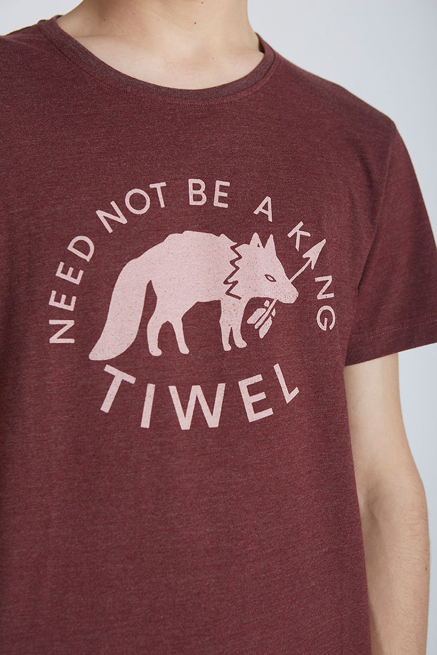Camiseta-Wolf-Tiwel-Cordoban-melange-03 Camiseta-Wolf-Tiwel-Cordoban-melange-03