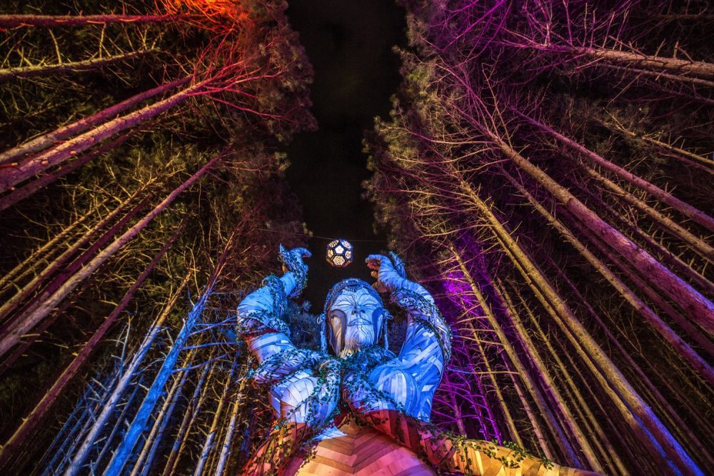 Electric forest music
