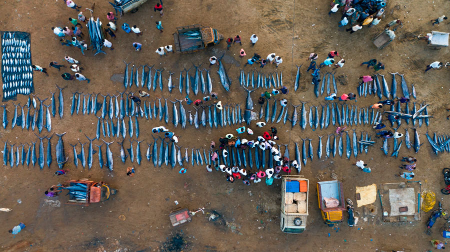 Series awards drone