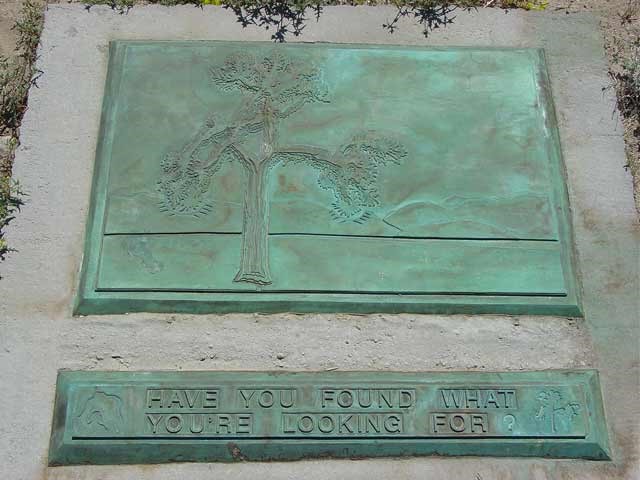 placa Joshua tree